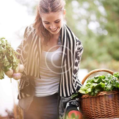 The 7-Day Paleo Plan